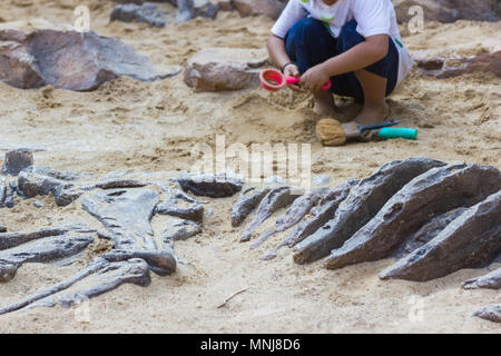 I bambini che imparano circa, scavo di fossili di dinosauro simulazione nel parco. Foto Stock