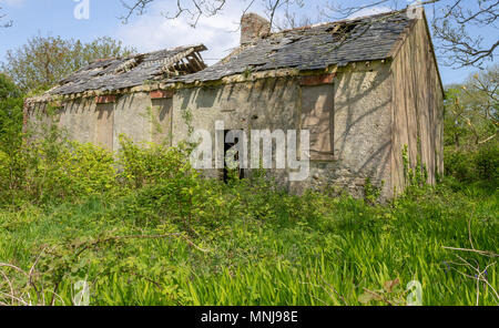 Cadendo derelitti decadendo rovine di dunbeacon scuola nazionale, una scuola locale del villaggio in Irlanda rurale fondata nel 1902. Foto Stock