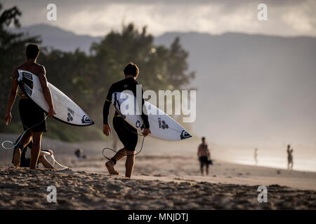 Vista posteriore di due maschio surfers che trasportano le tavole da surf in spiaggia, Oahu, isole Hawaii, STATI UNITI D'AMERICA Foto Stock