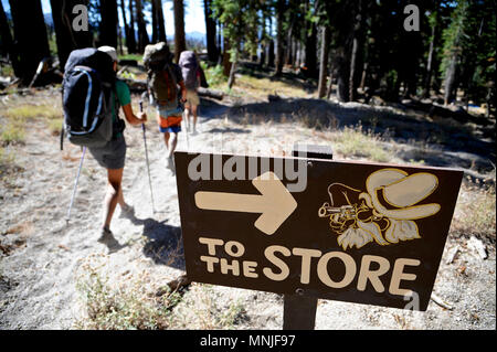 Backpackers escursione attraverso Boundary Creek masterizzare zona nei pressi di Mammoth Lakes sul trekking della Sierra alta via nella Foresta Nazionale di Inyo, CALIFORNIA, STATI UNITI D'AMERICA Foto Stock