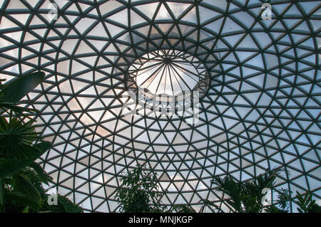 Display tropicale cupola al Mt Coot-tha Botanic Gardens, Brisbane, Queensland, Australia Foto Stock