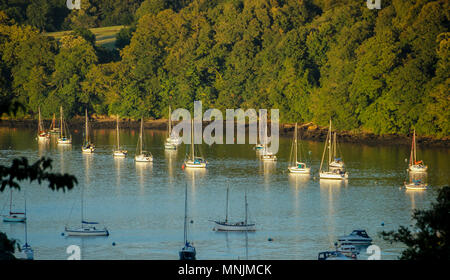 Barche ormeggiate sul fiume Dart, Dittisham, Devon, Regno Unito Foto Stock