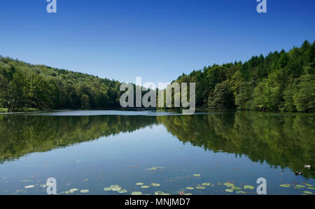 Vista lago in Cotswolds, Gloucestershire, Regno Unito Foto Stock