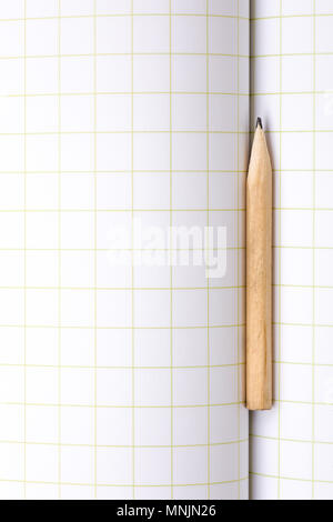 Breve matita su carta quadrettata Copybook Foto Stock