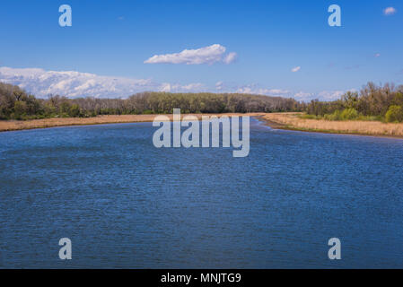 Canale di acqua nel Danubio Auen Parco Nazionale in Austria Foto Stock