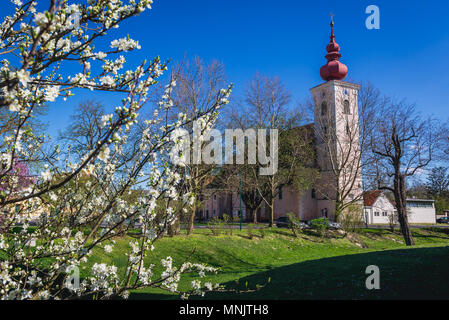 La Chiesa cattolica in Orth an der Donau città nel distretto Gaenserndorf dell'Austria Foto Stock