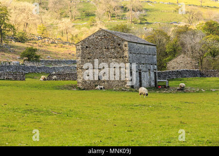 Inghilterra, West Yorkshire. Paesaggio, colline, valli, prati, pascoli, terre da pascolo. pecore e agnelli. Fienile. 2017-05-06 Foto Stock
