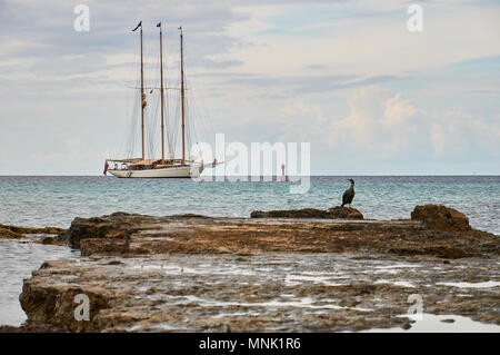 Nave a vela classica con bandiera rossa e shag europeo (Phalacrocorax aristotelis) a Formentera (Isole Baleari, Mar Mediterraneo, Spagna) Foto Stock