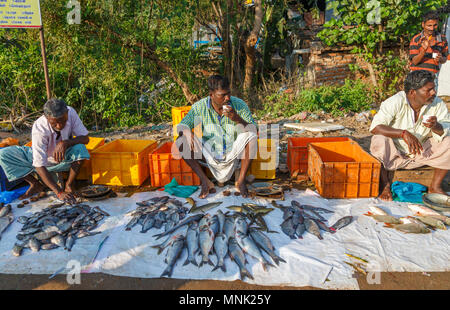 Sul ciglio della strada per il mercato appena pescato locale di pesce di fiume vicino a Thanjavur, precedentemente Tanjore, una città nel sud dello stato indiano del Tamil Nadu, India Foto Stock