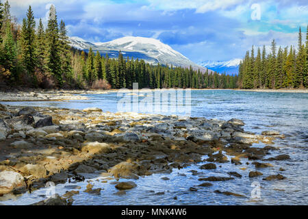 Athabasca River, il Parco Nazionale di Jasper, Canada Foto Stock