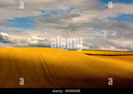 Campo Arato con orizzonte. Limagne pianura. Puy de Dome. Auvergne. Francia Foto Stock