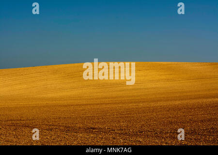 Campo Arato con orizzonte. Limagne pianura. Puy de Dome. Auvergne. Francia Foto Stock