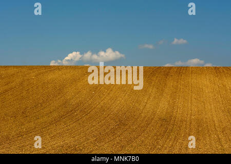 Campo Arato con orizzonte. Limagne pianura. Puy de Dome. Auvergne. Francia Foto Stock