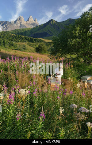 Saint-Pierre d'Albigny (Savoy, centrale Francia orientale): la transumanza, Fabrice Bouche, apicoltore (apicoltore), spostando circa dieci alveari da La pettine Foto Stock