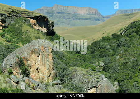 KwaZulu-Natal, Sud Africa, formazioni rocciose e denso baldacchino della foresta Afromontane nella valle dei giganti Castle riserva naturale, Drakensberg, paesaggio Foto Stock