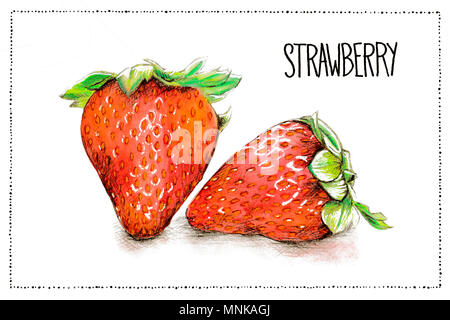Disegnata a mano acquerello e matita illustrazione di fragole con la grafia fragola e un telaio su uno sfondo bianco. Foto Stock