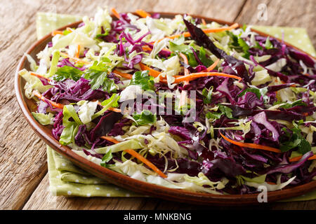 Cibo sano: insalata di cavoli bianchi e cavoli rossi con carote, erbe con olio di oliva close-up su una piastra orizzontale. Foto Stock
