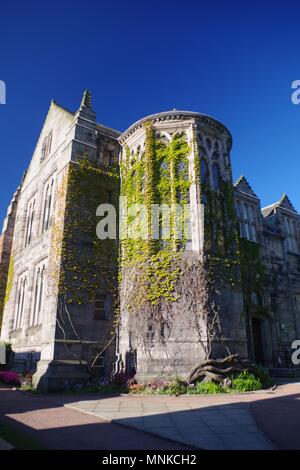 Coperto di edera nuovo re dell'edificio. Università di Aberdeen. La Scozia, Regno Unito. Maggio, 2018. Foto Stock