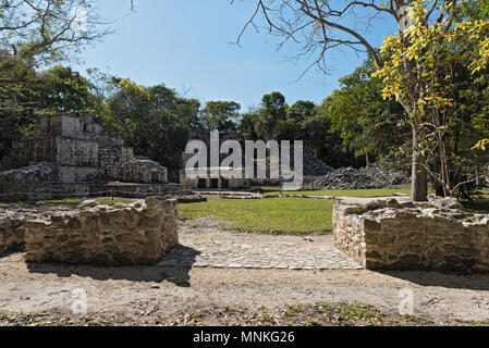 Gli Antichi maya, edificio a Muyil (Chunyaxch) sito archeologico, Quintana Roo, Messico Foto Stock