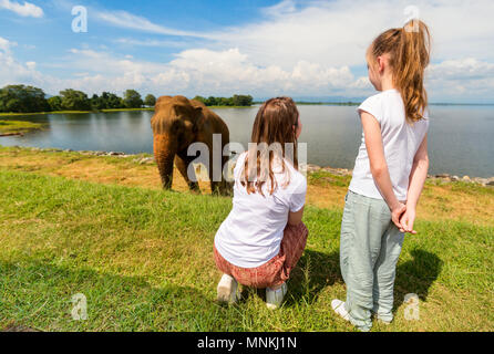 La famiglia di madre e figlia che guarda gli elefanti a Udawalawe parco nazionale in Sri Lanka Foto Stock