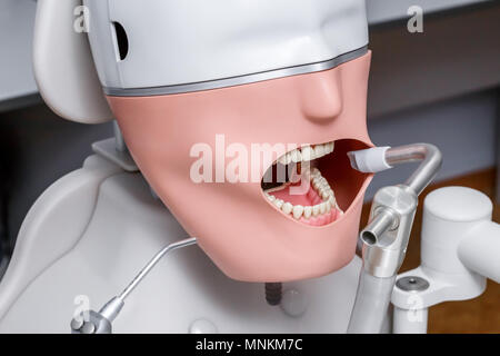 Manichino o dummy per il dentista gli studenti in formazione Facoltà di odontoiatria di medici scuole e università Foto Stock