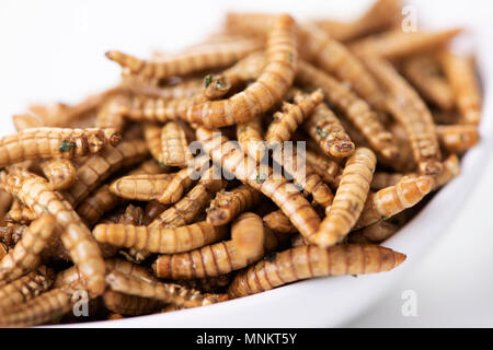 Primo piano di alcuni worm fritte condite con aglio ed erbe in un bianco vaso in ceramica Foto Stock