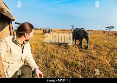 Donna su safari game drive godendo di incontro ravvicinato con gli elefanti in Kenya Africa Foto Stock