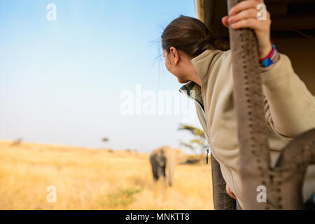 Donna su safari game drive godendo di incontro ravvicinato con gli elefanti in Kenya Africa Foto Stock