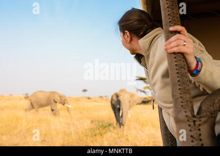 Donna su safari game drive godendo di incontro ravvicinato con gli elefanti in Kenya Africa Foto Stock