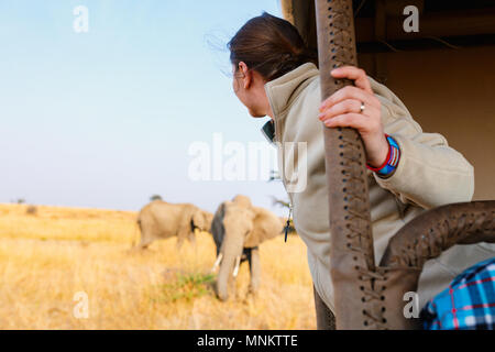 Donna su safari game drive godendo di incontro ravvicinato con gli elefanti in Kenya Africa Foto Stock