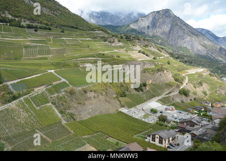 I vigneti di montagna visto dalla Swiss Wine Trail, vicino alla città di Chamoson, in alto la valle del Rodano, canton Vallese, Svizzera meridionale. Foto Stock