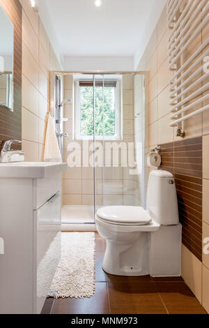 Piccolo bagno interno in marrone con finestra, wc, doccia e lavabo Foto Stock