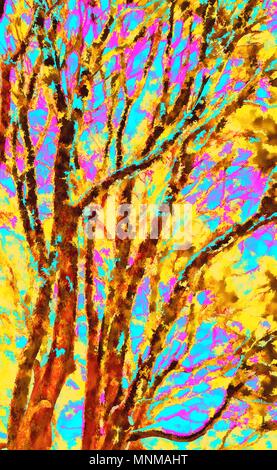 Abstract colorfully grafica digitale fotografia pittura Foto Stock