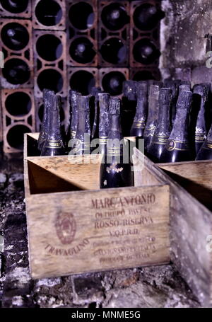 Cantina e vigneti della Tenuta Travaglino che partecipa alle Cantine Aperte iniziativa in Oltre Po '2018 (Duilio Piaggesi, Calvignano - Pavia - 2018-05-17) ps la foto può essere utilizzato rispettando il contesto in cui è stato preso e senza intento diffamatorio del decoro delle persone rappresentate Foto Stock