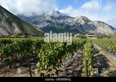 I vigneti di montagna visto dalla Swiss Wine Trail, vicino alla città di Chamoson, in alto la valle del Rodano, canton Vallese, Svizzera meridionale. Foto Stock