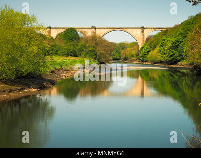 Victoria viadotto che porta una in disuso la linea ferroviaria sul fiume usura vicino Fatfield, Co Durham, Inghilterra Foto Stock