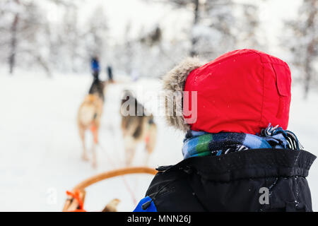 Cani Husky sono tirando la slitta con un capretto al bosco invernale in Lapponia, Finlandia Foto Stock