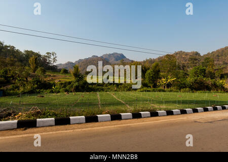 Bellissimo paesaggio con campi di riso presi in Pai turistico villaggio nel nord della Thailandia. Vista sulla montagna nel sud est asiatico. Foto Stock