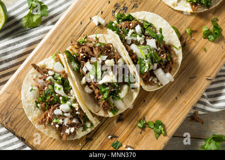 In casa piccante Barbacoa Carne Tacos con il coriandolo il formaggio e la cipolla Foto Stock