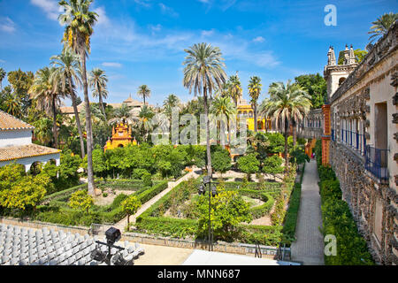 Alcázar 'Reales Alcazares' gardens a Siviglia, in Andalusia, Spagna Foto Stock
