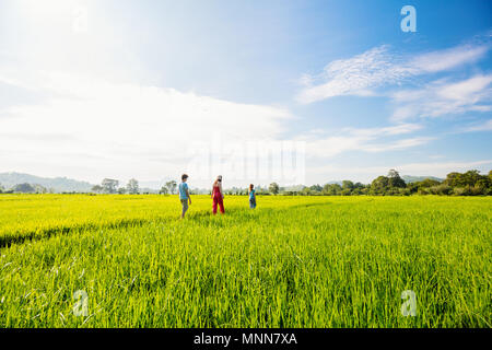 La famiglia di madre e due bambini godendo tranquilla passeggiata in campi di riso con viste mozzafiato sulle montagne in Sri Lanka Foto Stock