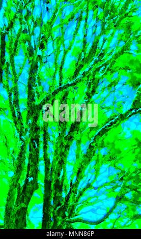 Abstract colorfully grafica digitale fotografia pittura Foto Stock