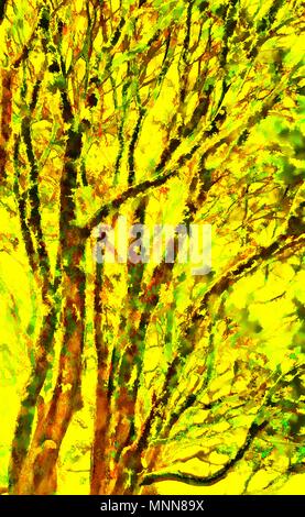 Abstract colorfully grafica digitale fotografia pittura Foto Stock