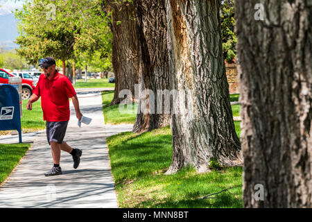 Maschio a piedi pedonale sul marciapiede; pioppi neri americani alberi; Chaffee County Courthouse; Salida; Colorado; USA Foto Stock