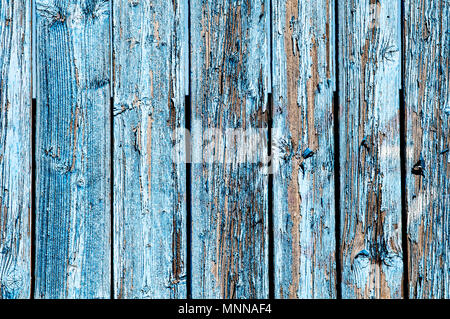 Blaue marode Holzwand; Blu marcio parete in legno Foto Stock