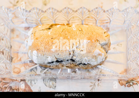 Primo piano della golden cotto intero con semi di papavero torta di rotolo o Babka al cioccolato pane di pasta in vetro cristallo piatto sul tavolo per la festosa vacanza tradizionale Foto Stock