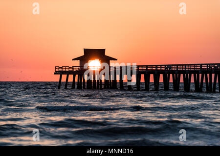 Naples, Florida rosa, rosso e arancione tramonto nel golfo del Messico con il sole che tramonta all'interno di Pier, framing dal pontile in legno, con molti uccelli sorvolano orizz. Foto Stock