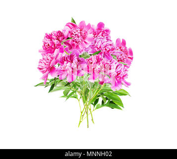 Bella estate bouquet di molti peonie rosa fiori con foglie verdi, isolato su sfondo bianco Foto Stock