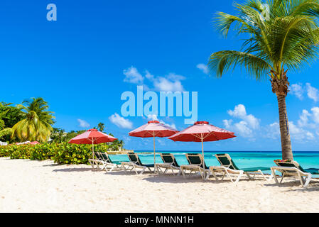 Dover Beach - spiaggia tropicale sull'isola caraibica di Barbados. Si tratta di una destinazione paradiso con una spiaggia di sabbia bianca e mare turquoiuse. Foto Stock