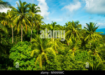 Meravigliosa vista da Koh Samui in Thailandia Foto Stock